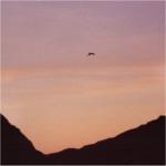 That's a bird, not a dirty lens.